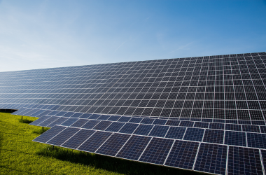Photovoltaik auf einer grünen Wiese